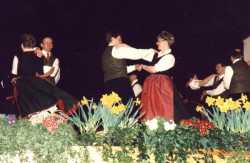 1995bild23c
