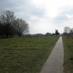2014Waldheide_2