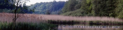 Finsterroter See