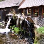 2006_02schwarzwald