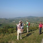 2011kaiserstuhl04