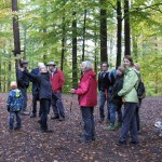 2015_Herbstimpresionen1
