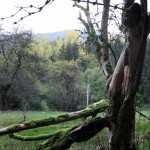 2015_Herbstimpresionen2