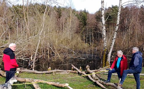 Der Bieber im Plapphofsee